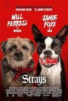 Strays